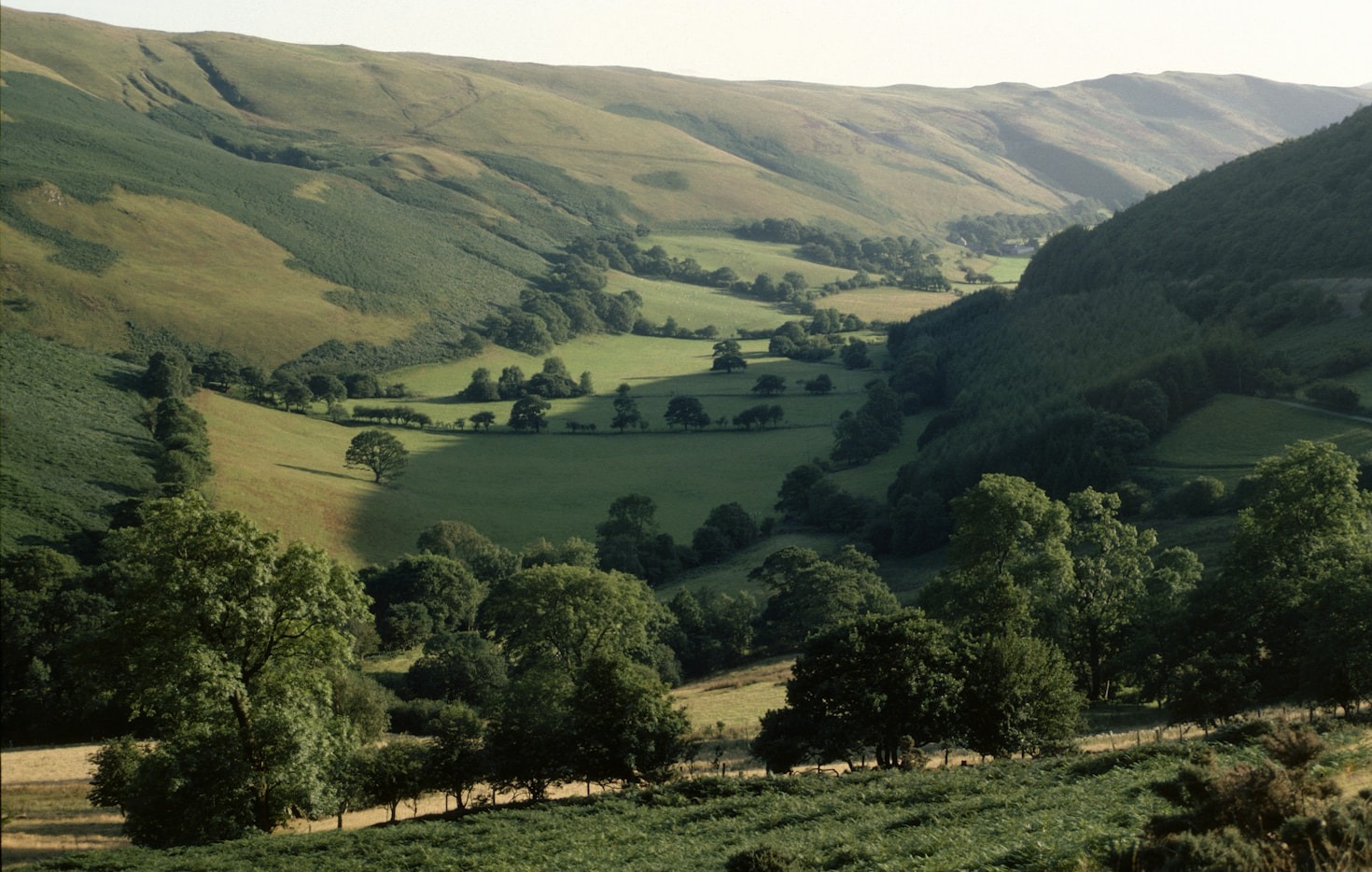 Sustainability Practices That Make a Difference